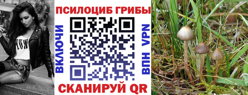 что такое   Касли  Галлюциногенные грибы ЛСД 